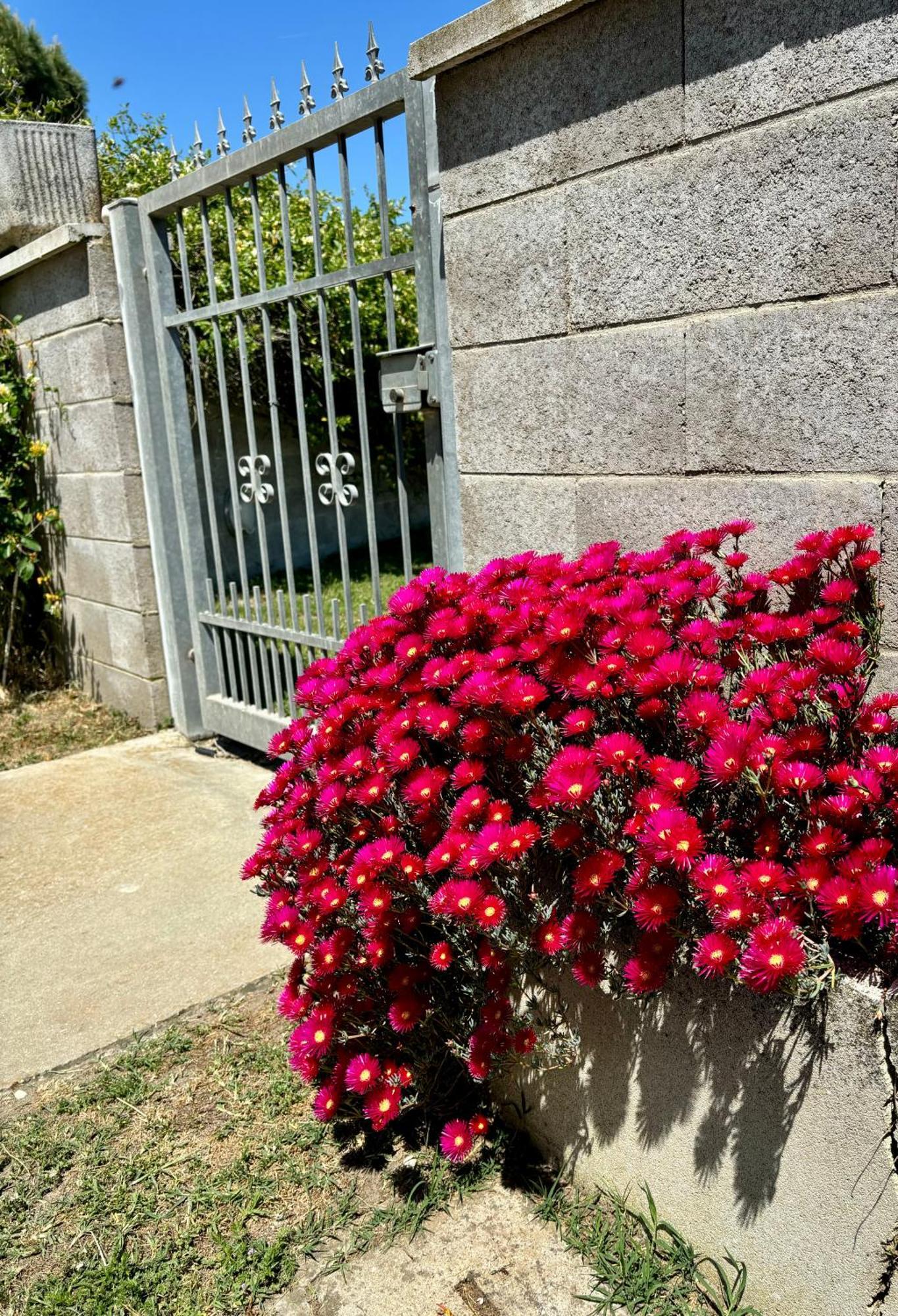 לינה וארוחת בוקר לידו דלה נציוני Tra Campagna E Mare מראה חיצוני תמונה